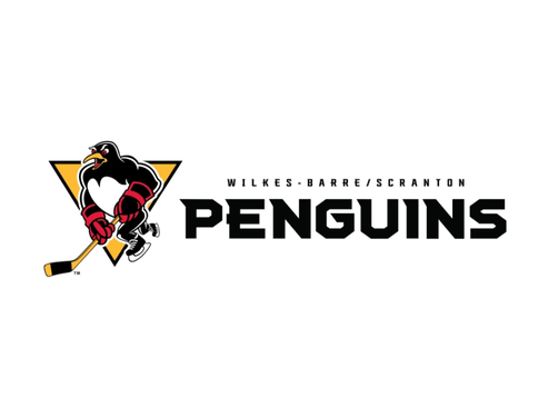 Wilkes-Barre Scranton Penguins Semi-Professional Sports Team Market Analysis June 2007